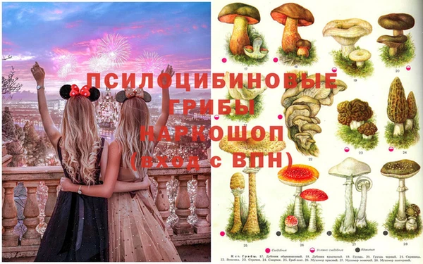 сатива Арсеньев