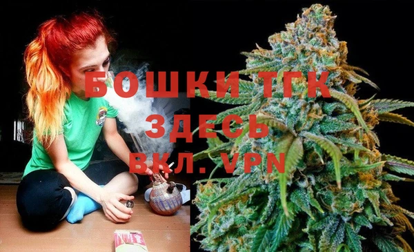 сатива Арсеньев