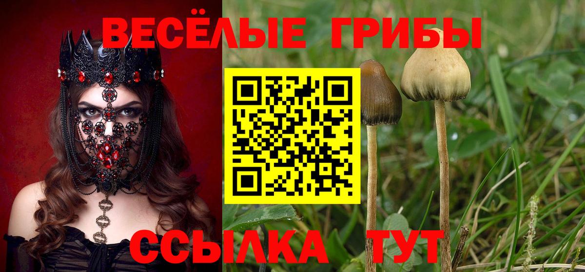 Псилоцибиновые грибы мухоморы  Вход с VPN  Казань 