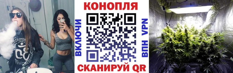 купить наркотик  Казань  Бошки марихуана гибрид 